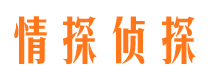 金沙调查公司